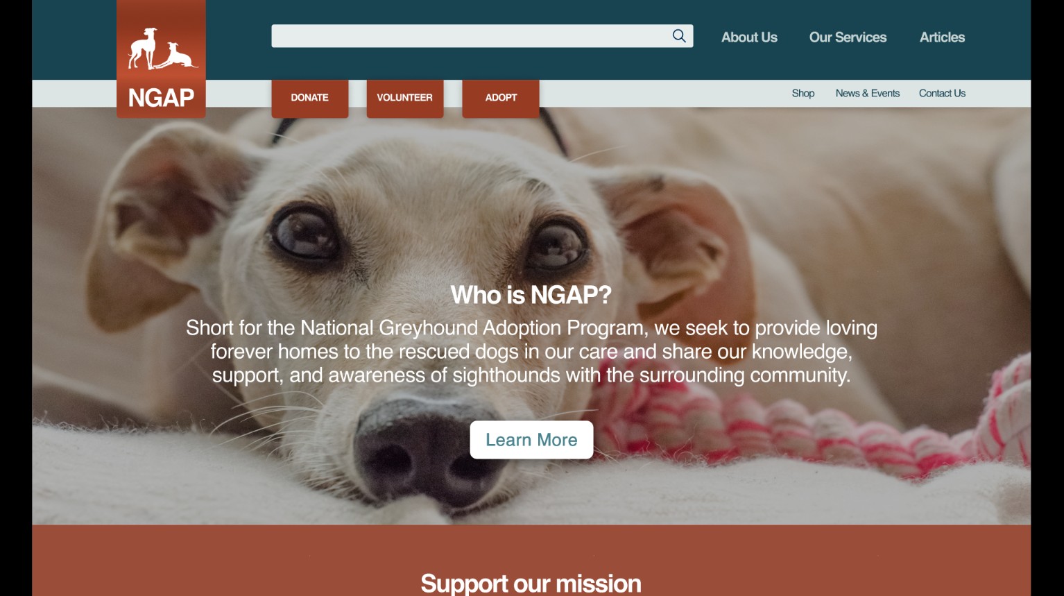 Redesigned NGAP homepage