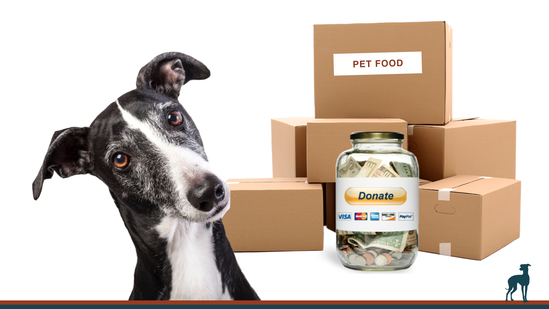 NGAP — National Greyhound Adoption Program redesign