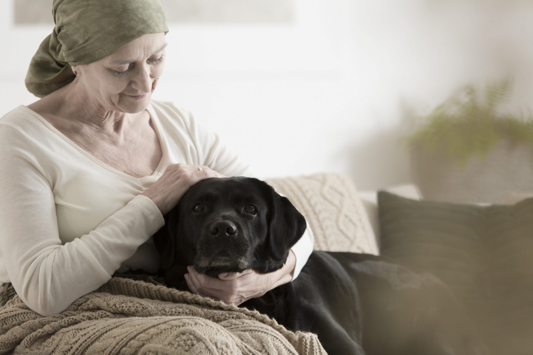 Aging adult with their service dog