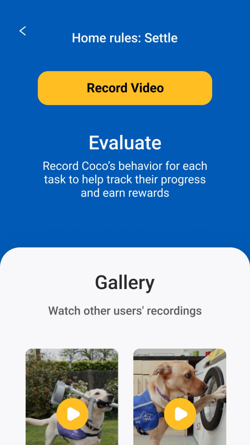 Record and evaluate screen for training progress